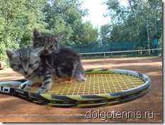 Теннис - Долгопрудный. Котят прокатили на ракетке за пределы корта